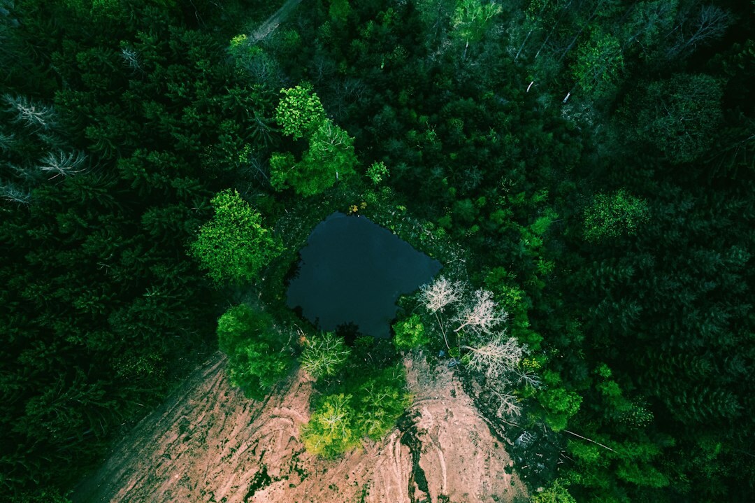 secret lake view