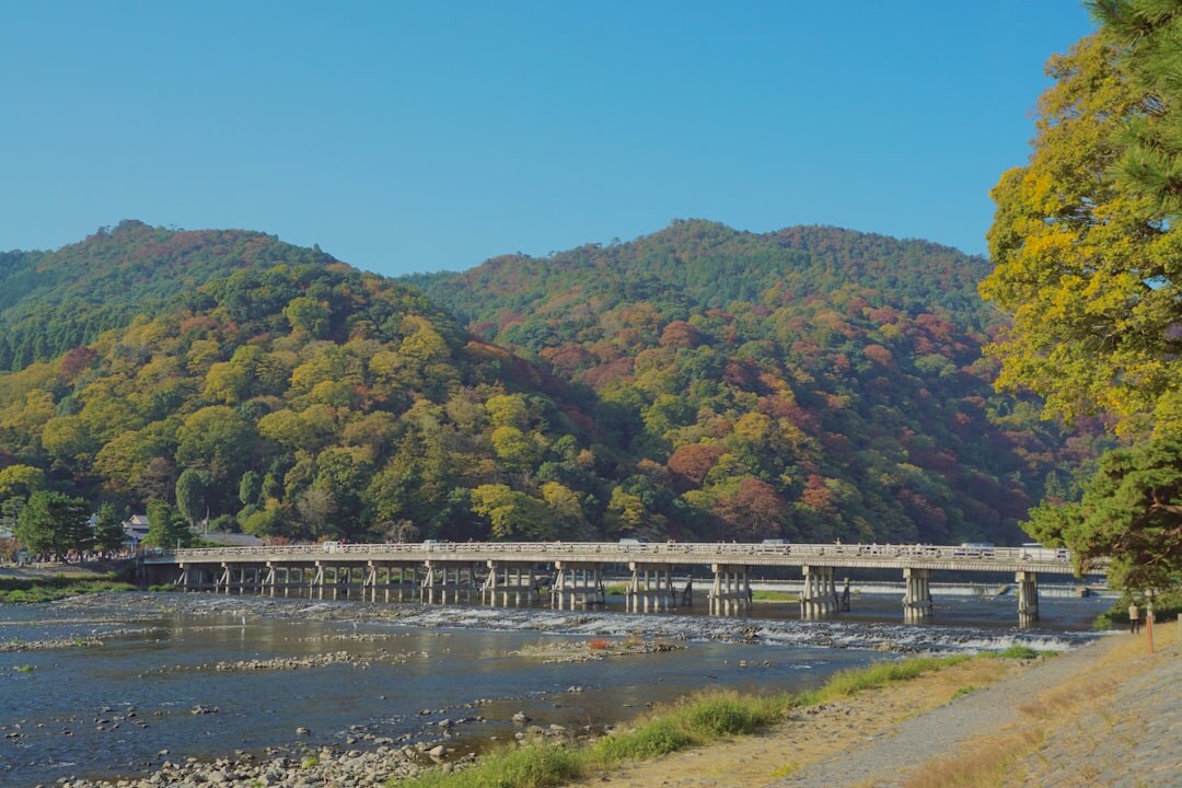 arashiyama bamboo forest