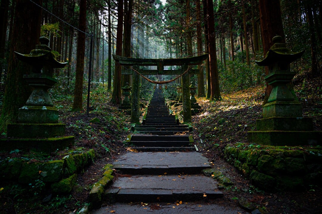 japan hidden nature