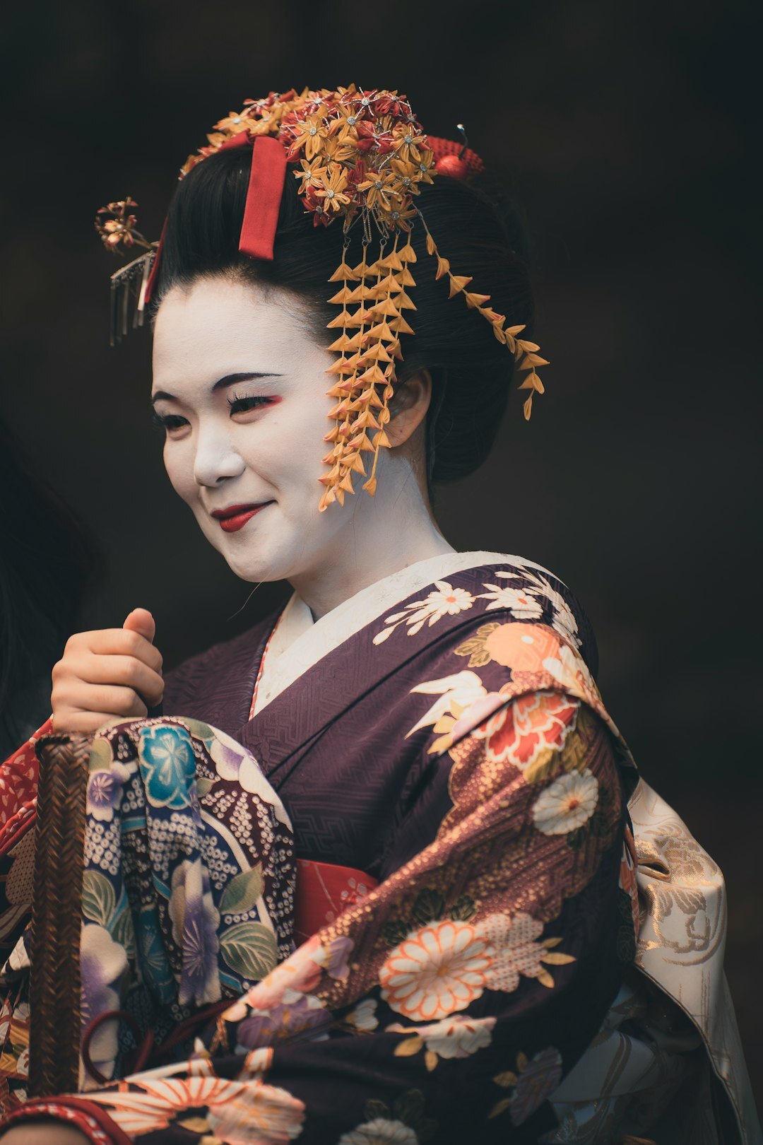 kyoto geisha