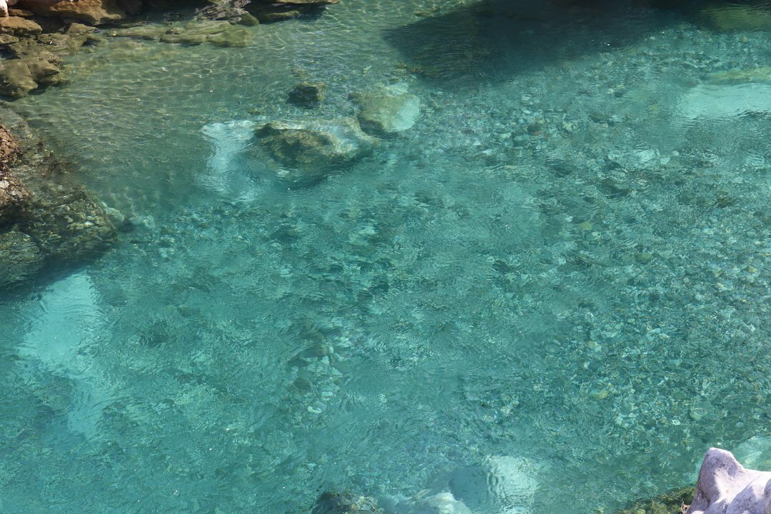 snorkeling in clear water
